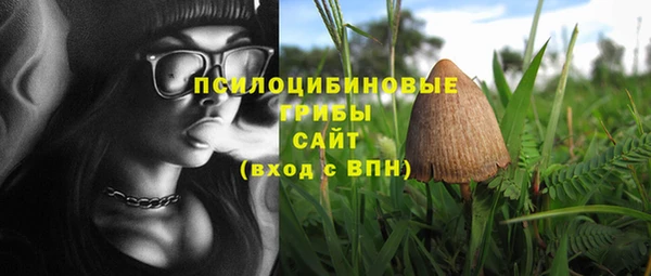 соль курить ск Медногорск