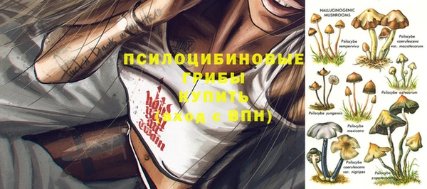 МДПВ Магас